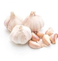 fresh-garlic